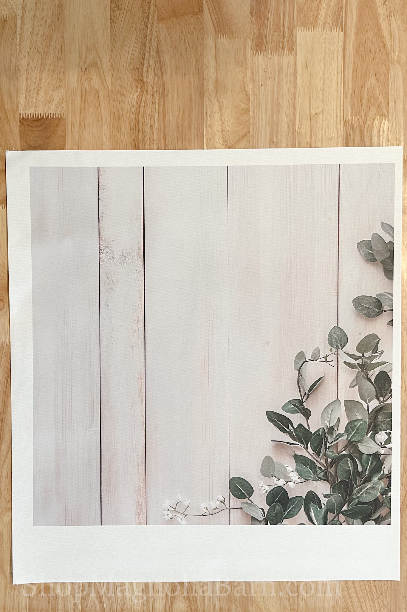 White Wood Backdrop for Product Photography