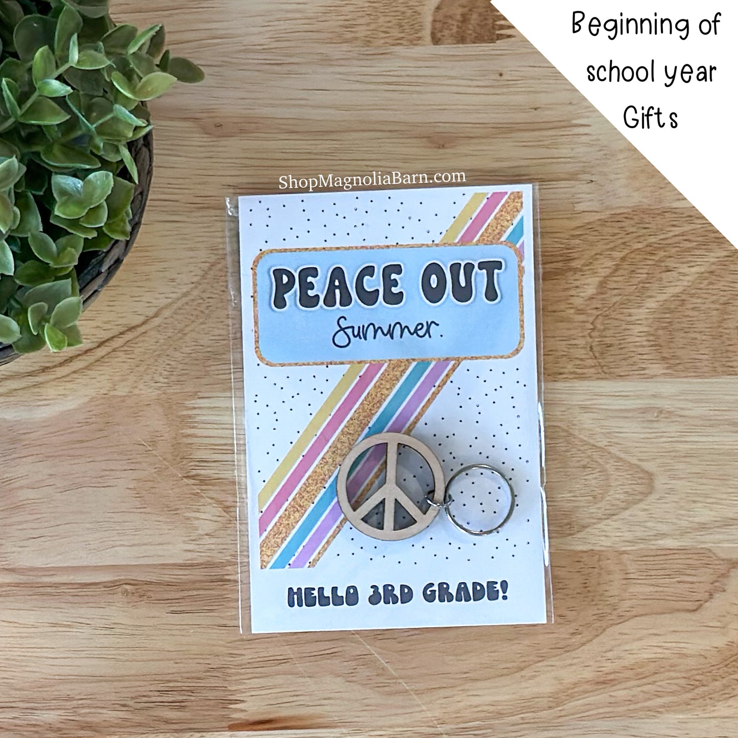 Peace Out Summer- Beginning of Year Student Gift
